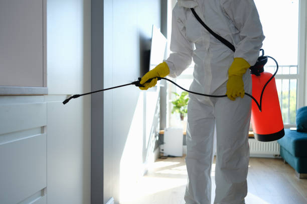 Best Mold Cleaning Services  in Spring Hill, FL