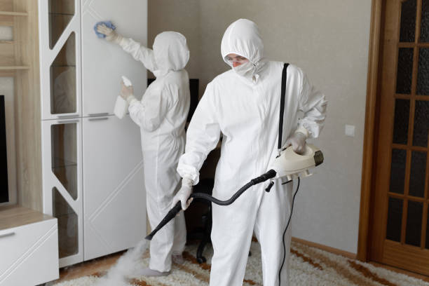 Home Mold Removal in Spring Hill, FL