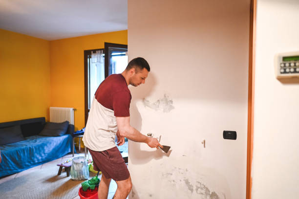 Best Crawl Space Mold Removal  in Spring Hill, FL